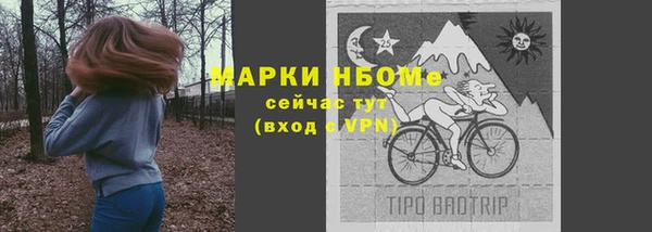 PSILOCYBIN Алексеевка