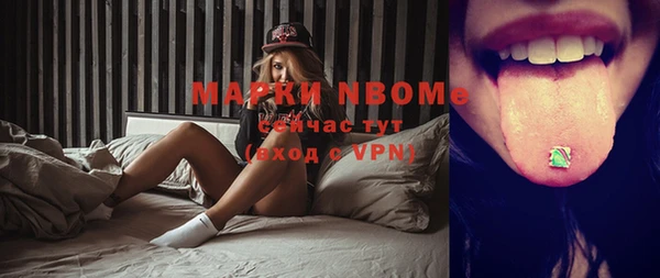 apvp Алексин