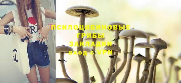 PSILOCYBIN Алексеевка
