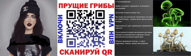 Галлюциногенные грибы мухоморы купить ОМГ ОМГ tor Зеленоградск
