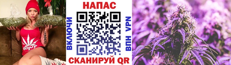 Марихуана SATIVA & INDICA Зеленоградск